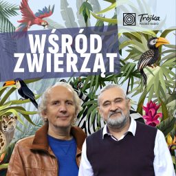 Artwork for Wśród Zwierząt
