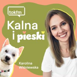 Artwork for Kalna i pieski