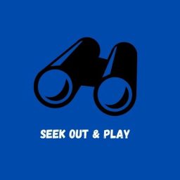 Artwork for Seek Out & Play
