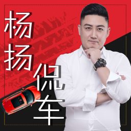 Artwork for 杨扬侃车