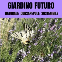Artwork for Giardino Futuro