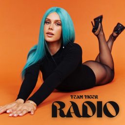 Artwork for Team Tiger Radio