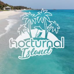 Artwork for Nocturnal
