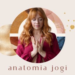 Artwork for Anatomia Jogi