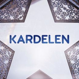 Artwork for Kardelen