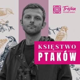 Artwork for Księstwo Ptaków
