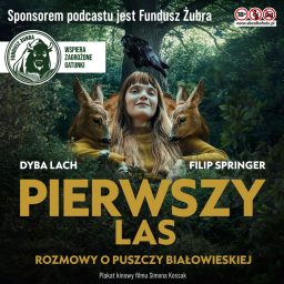Artwork for Pierwszy las