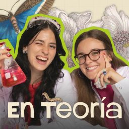 Artwork for En Teoría