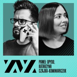 Artwork for ZVZ