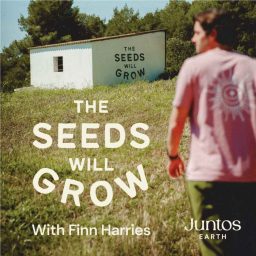 Artwork for The Seeds Will Grow