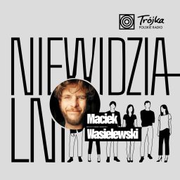 Artwork for Niewidzialni