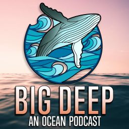 Artwork for Big Deep - An Ocean Podcast