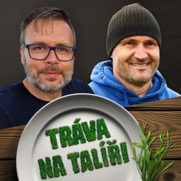 Artwork for Tráva na talíři