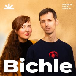 Artwork for Bichle