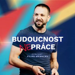 Artwork for Budoucnost nepráce