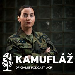 Artwork for Kamufláž