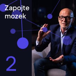 Artwork for Zapojte mozek 2