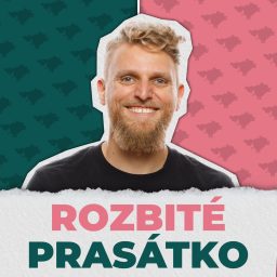 Artwork for Rozbité prasátko