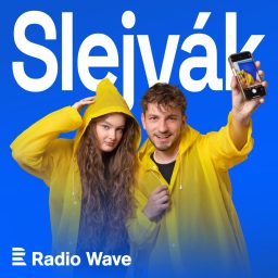 Artwork for Slejvák