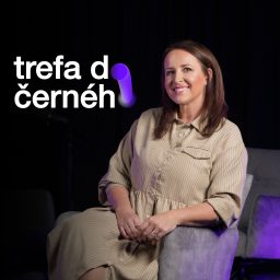 Artwork for Trefa do Černé(ho)
