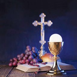 Artwork for Daily TV Mass