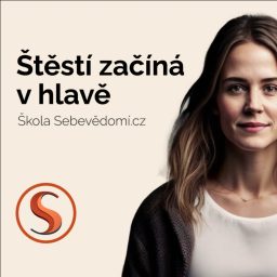 Artwork for Škola Sebevědomí