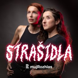 Artwork for Strašidla