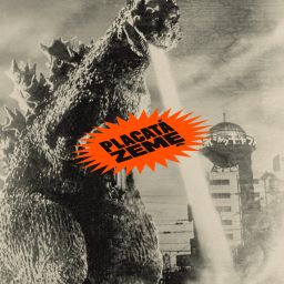 Artwork for Placatá Země