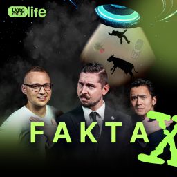 Artwork for Fakta X