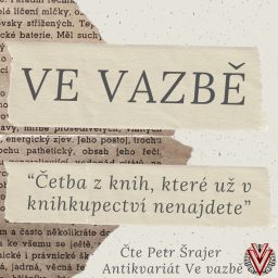 Artwork for Ve vazbě