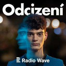 Artwork for Odcizení