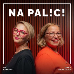 Artwork for NA PALICI