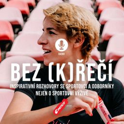 Artwork for RADIO BEZ (K)ŘEČÍ
