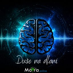 Artwork for Duše na dlani