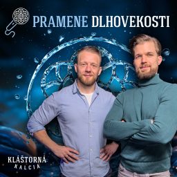 Artwork for Pramene dlhovekosti