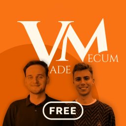 Artwork for Vademecum historie