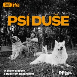Artwork for Psí duše