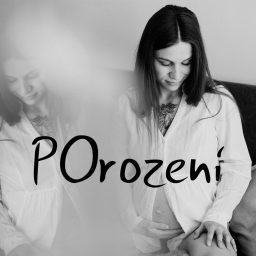 Artwork for POrození