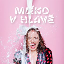 Artwork for MLÍKO V HLAVĚ