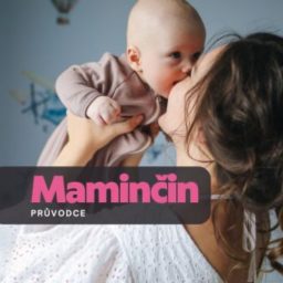 Artwork for Maminčin průvodce