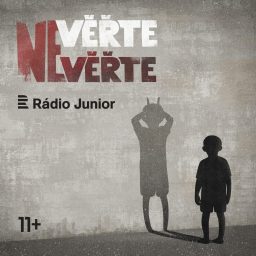 Artwork for Věřte nevěřte