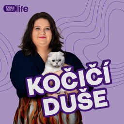 Artwork for Kočičí duše