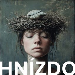 Artwork for Hnízdo