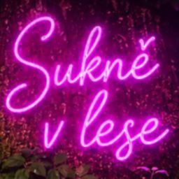 Artwork for Sukně v lese