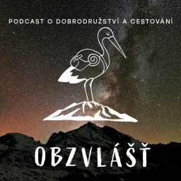 Artwork for OBZVLÁŠŤ