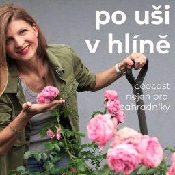Artwork for Po uši v hlíně