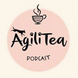 Artwork for AgiliTea