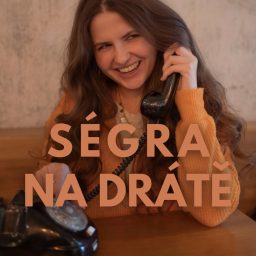 Artwork for Ségra na drátě