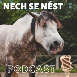 Artwork for Nech se nést