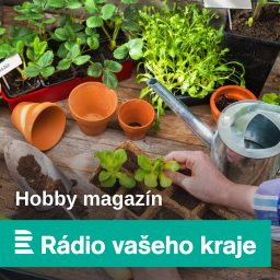 Artwork for Hobby magazín